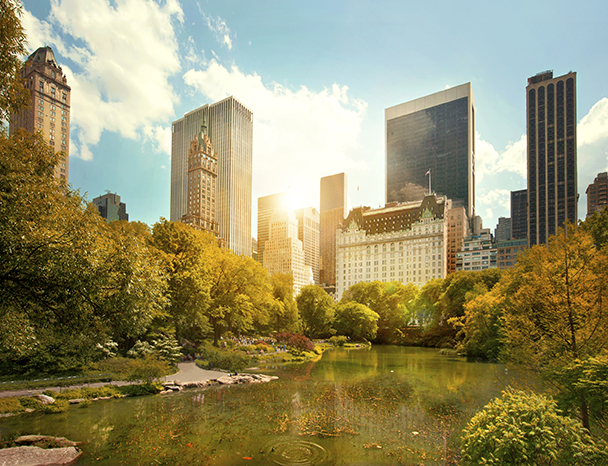 Central-Park-and-Midtown-Manhattan,-NYC-000065463981_small